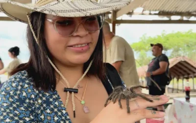 ¿Vale la pena visitar la Amazonía peruana?