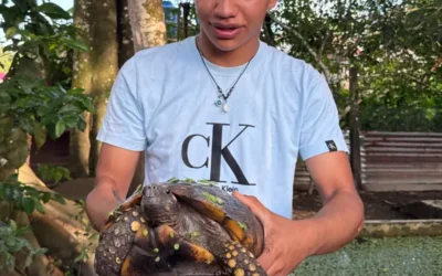 ¿Cuántos días se necesitan para visitar la Amazonía peruana?