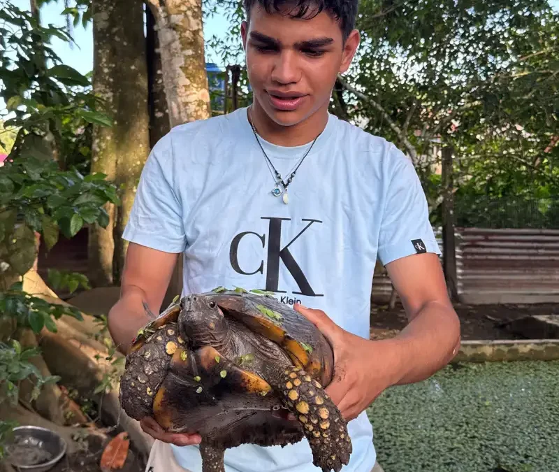 ¿Cuántos días se necesitan para visitar la Amazonía peruana?