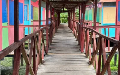 ¿Dónde alojarse en la Amazonía peruana? Lodge en la selva vs hotel en Iquitos
