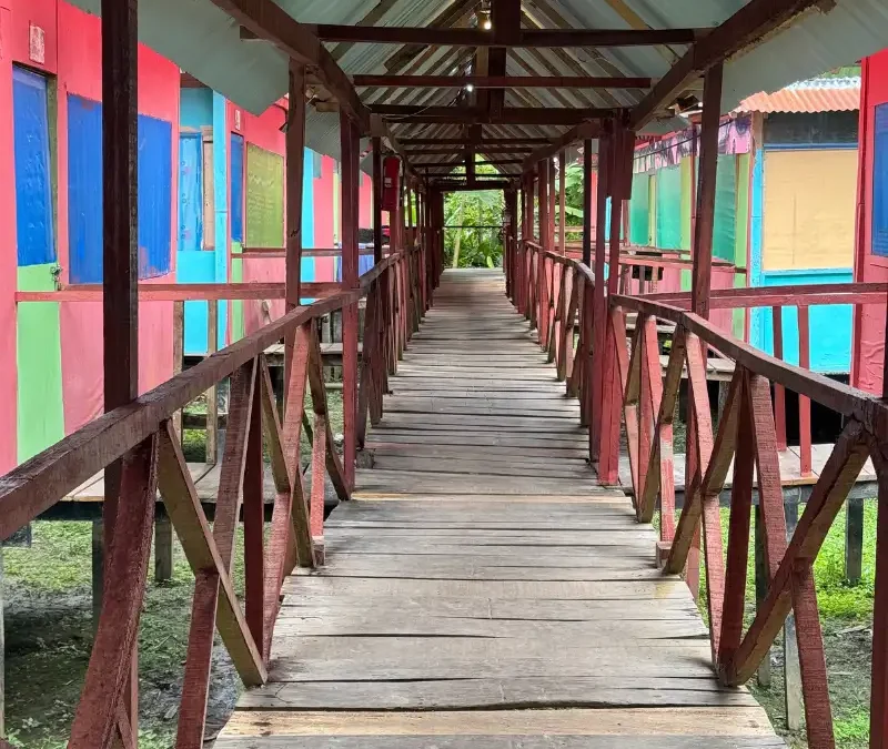 ¿Dónde alojarse en la Amazonía peruana? Lodge en la selva vs hotel en Iquitos