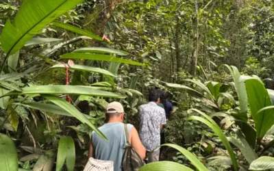 ¿Cuál es la mejor época para viajar a la Amazonía peruana?