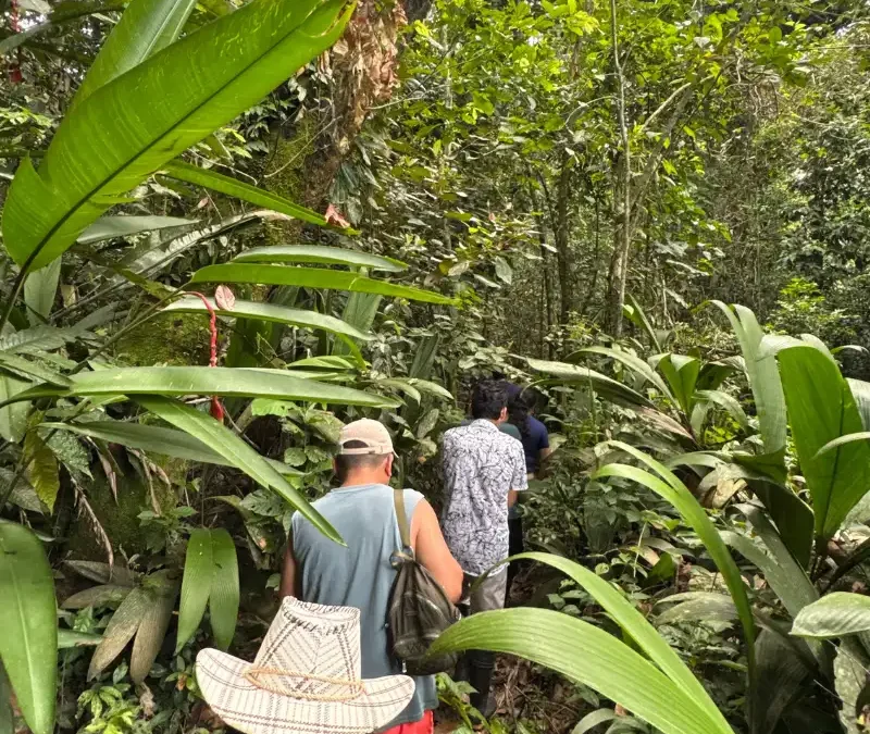 ¿Cuál es la mejor época para viajar a la Amazonía peruana?