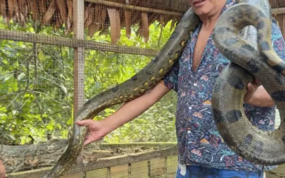 Fauna de la Amazonía peruana