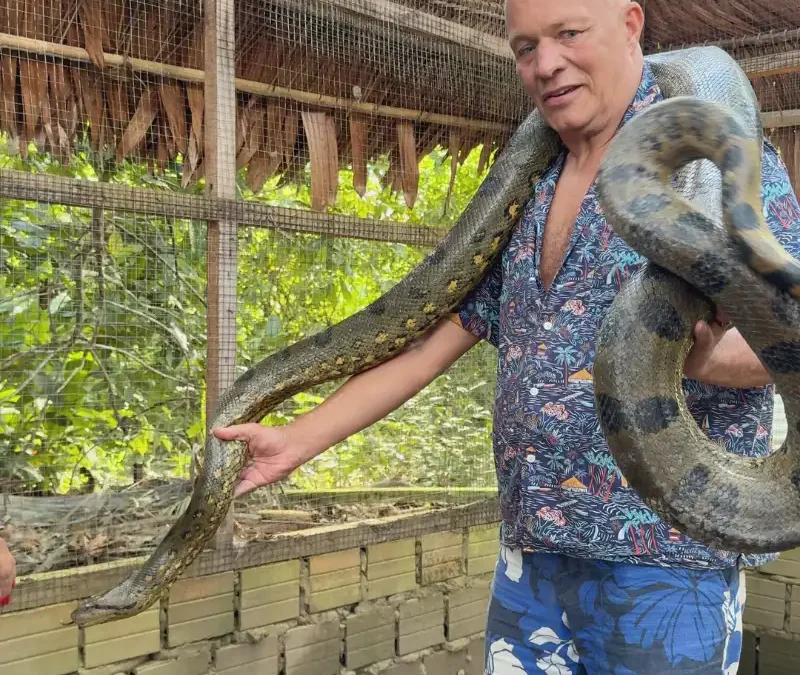 Fauna de la Amazonía peruana